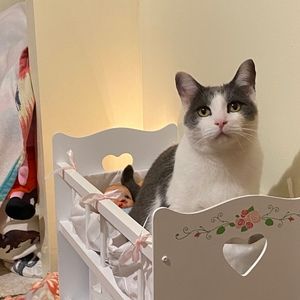 Meet your Posher, Jonni